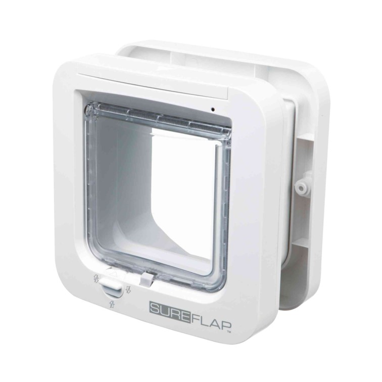 JS Project Blue Gamma Führleine, weiss/grau - 110cm/20mm | Für Hunde